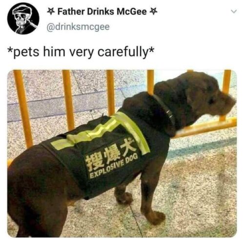25 Meme Treasures Found in the Unlikeliest of Places 18 Pets him carefully - Meme Treasures