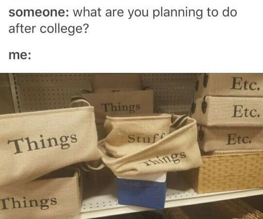 Viral Chuckles: Exploring 7 Top-Tier Memes 6 Planning to do after college