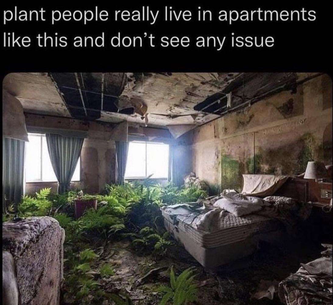 20 Viral Memes You Need to See Right Now 14 Plant people really live in apartments like - Viral Memes