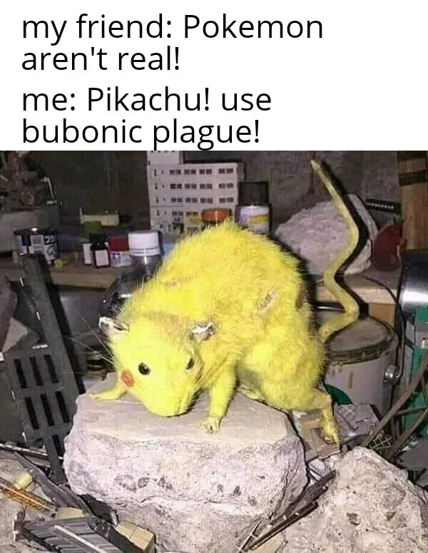 27 Rat Memes That Will Make You Laugh at Their Epic Rat-ventures 15 Pokemon arent real - Rat Memes