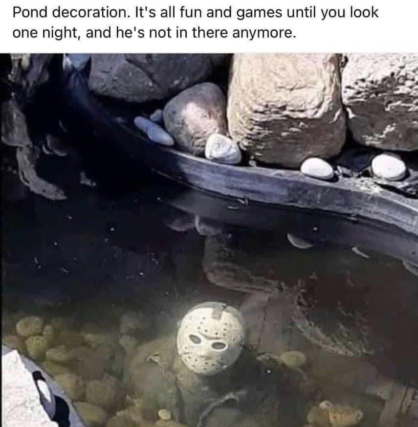 Meme Avalanche: 20 Totally Random and Absolutely Hilarious Picks 11 Pond Decoration - Meme Avalanche