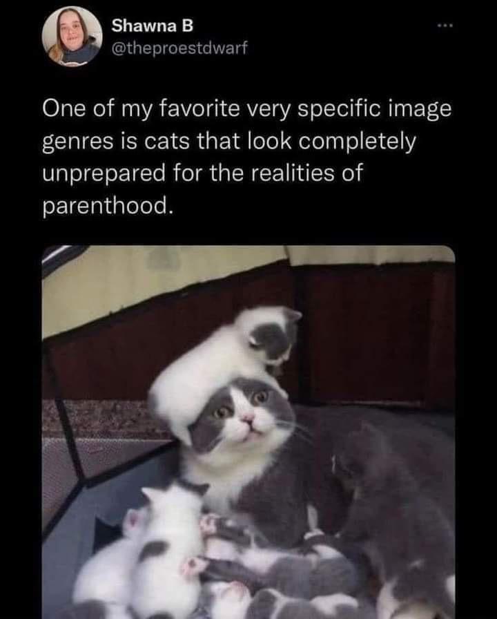20 Outrageously Funny Memes for a Good Time 10 Realities of parenthood - Outrageously Funny Memes