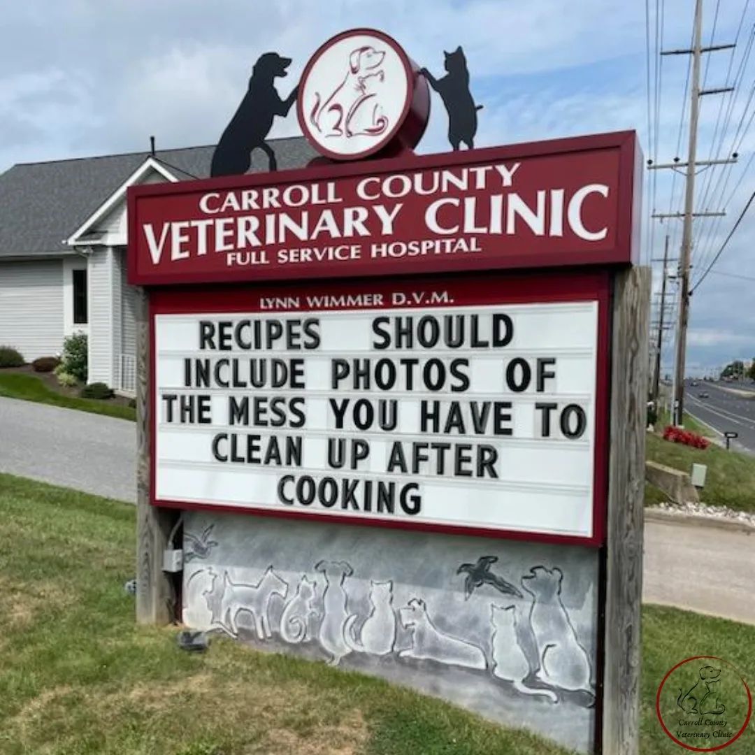 50 Funniest Roadside Signs from This Vet Clinic's Instagram: A Prescription for Smiles 27 Recipes should include photos - Vet Clinic