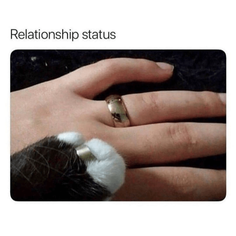 20 Viral Memes You Need to See Right Now 15 Relationship status - Viral Memes