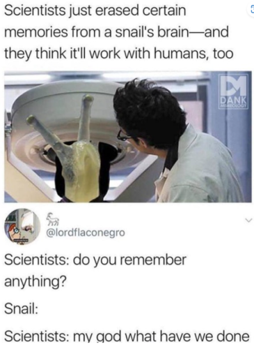 Scientist just erased Lab Safety Memes