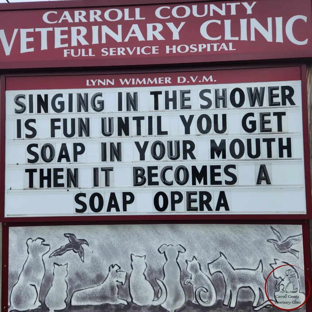 50 Funniest Roadside Signs from This Vet Clinic's Instagram: A Prescription for Smiles 29 Singing in the shower is fun - Vet Clinic