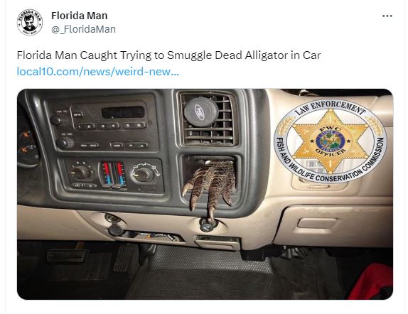 30 Florida Man Escapades That Seemed Too Crazy to Be True 28 Smuglling aligator in car - Florida Man