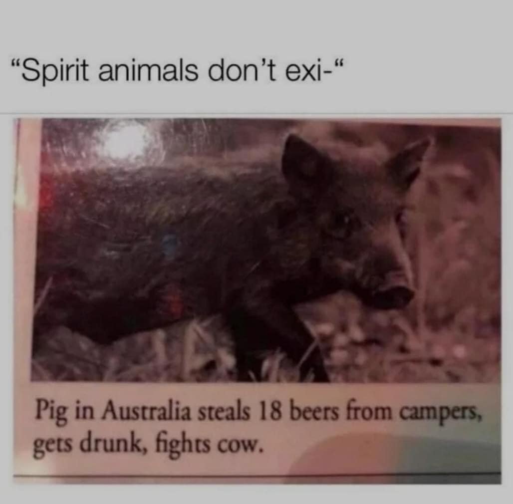 Spirit animals dont exist - Beer Memes