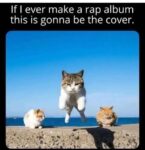 rap memes