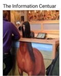 The Information Centaur