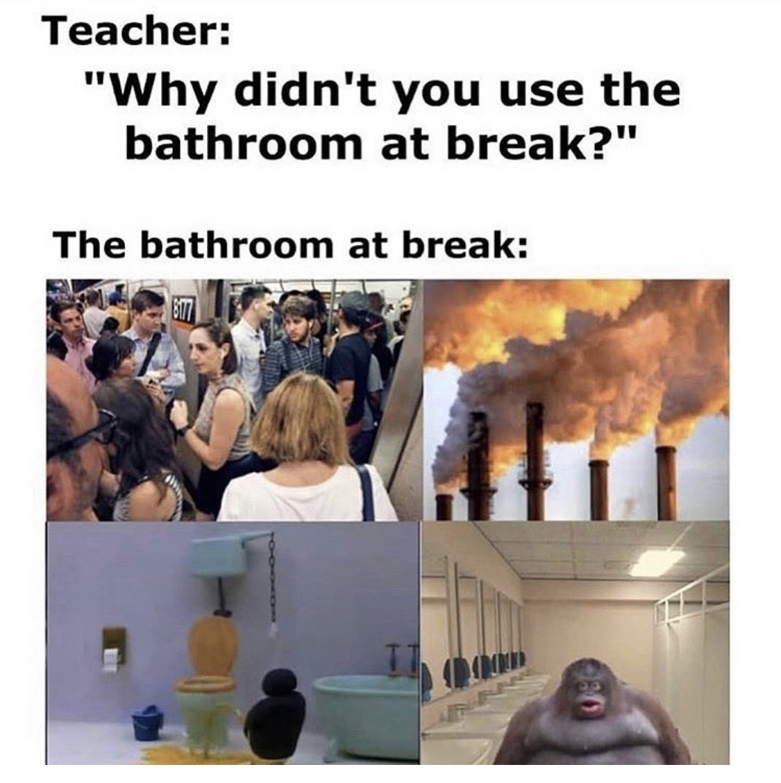 20 Whimsy-Filled Memes That Made My Grandma Ask "What's Wrong with Your Generation?" 12 The bathroom at break - Whimsy-Filled Memes