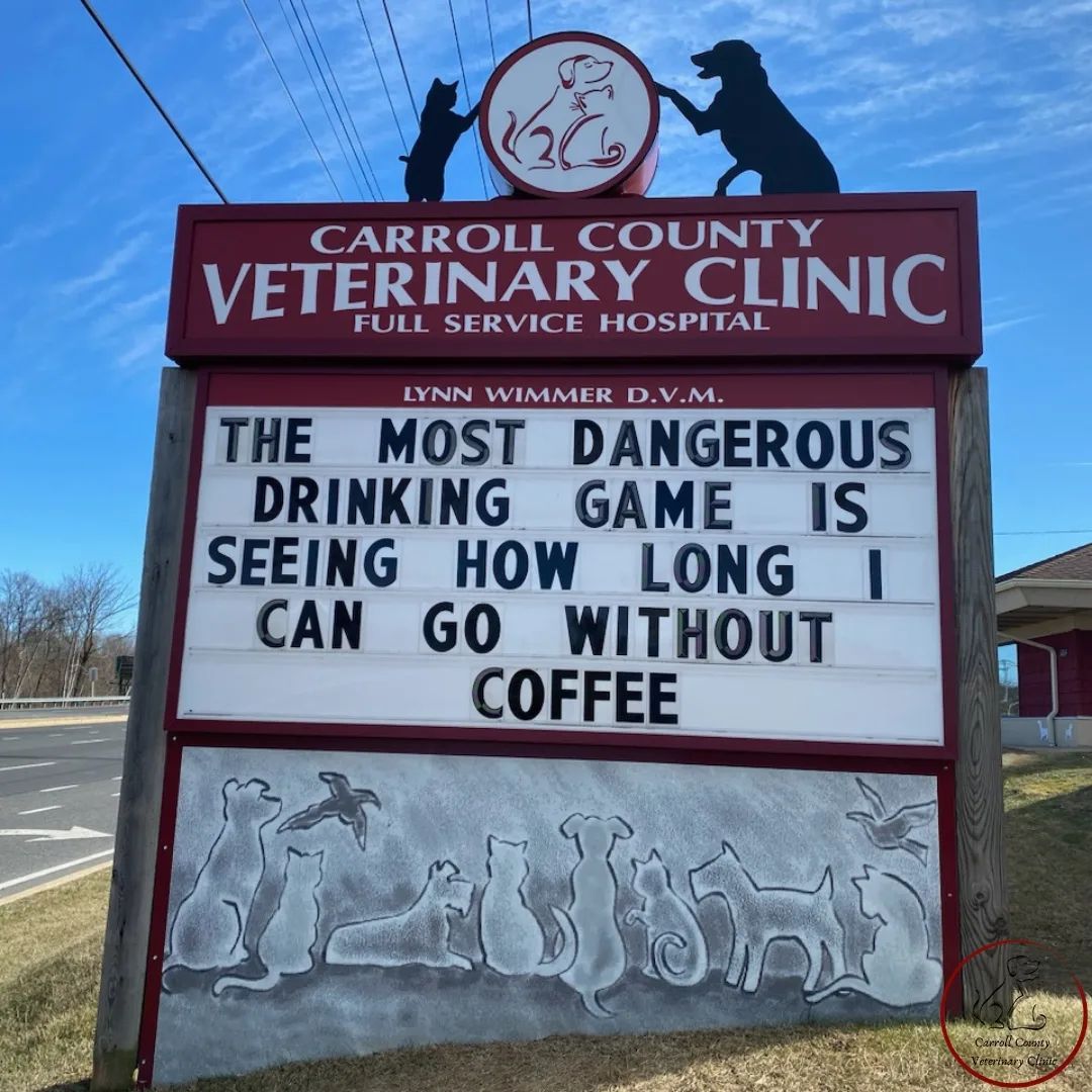 50 Funniest Roadside Signs from This Vet Clinic's Instagram: A Prescription for Smiles 31 The most dangerous drinking game - Vet Clinic