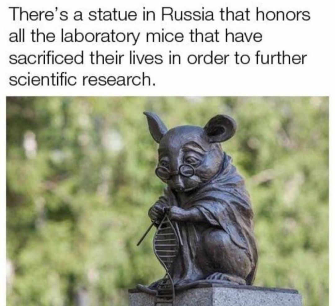 27 Rat Memes That Will Make You Laugh at Their Epic Rat-ventures 19 Theres a statue in russia that honors the rats - Rat Memes