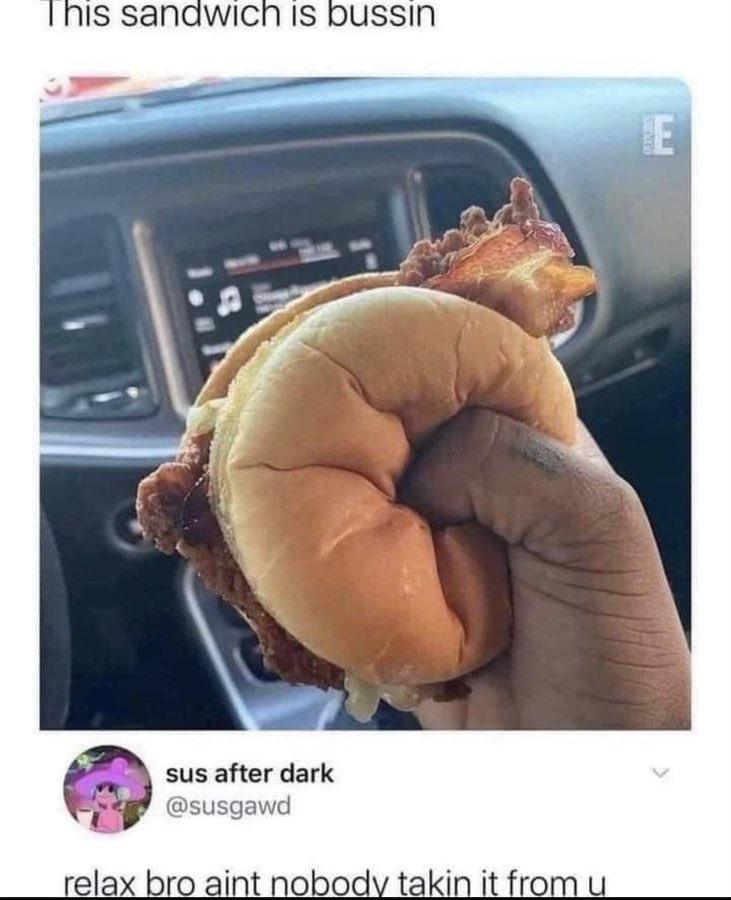 25 Diverse Memes to Brighten Your Midnight Scroll 18 This sandwich is bussin - Diverse Memes