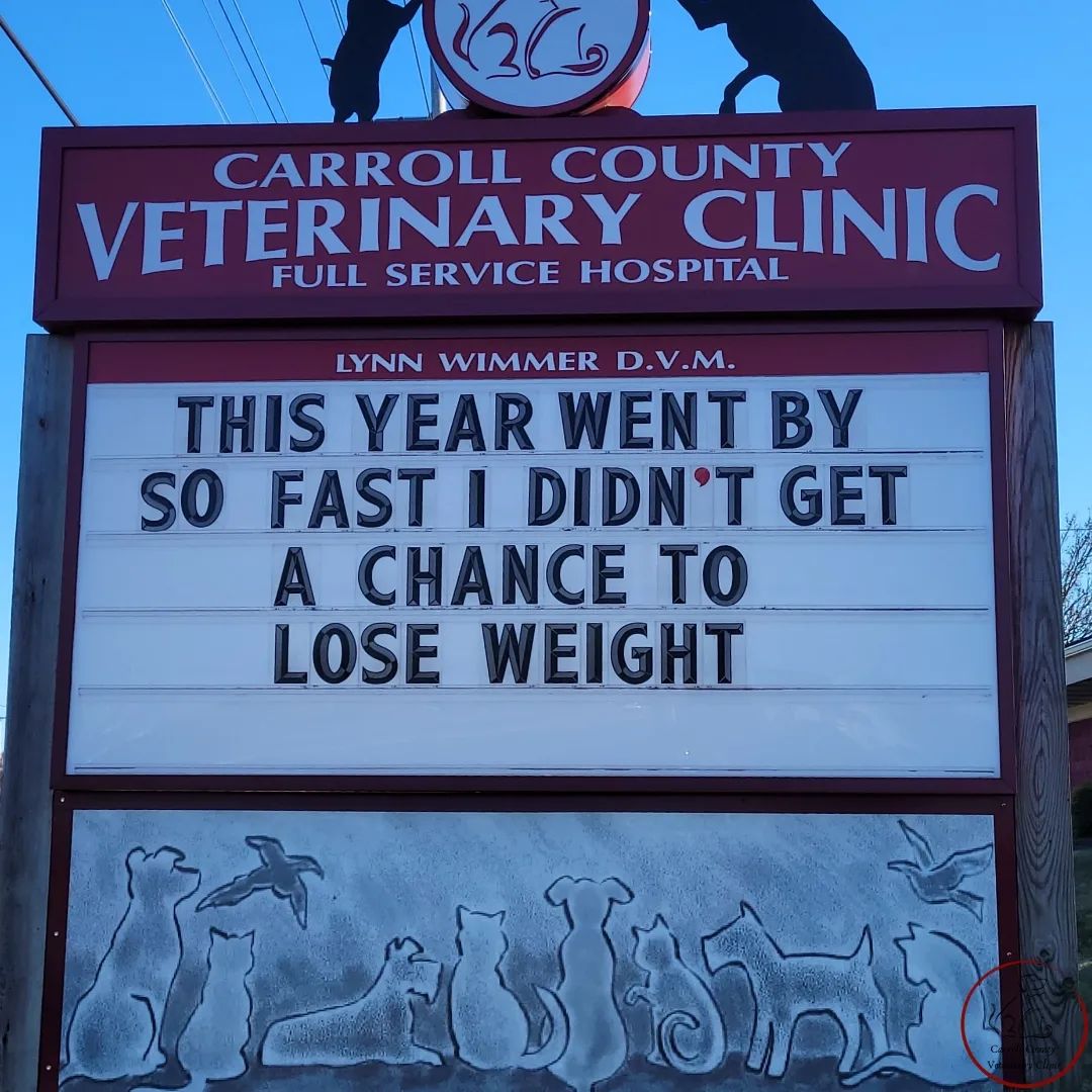 50 Funniest Roadside Signs from This Vet Clinic's Instagram: A Prescription for Smiles 32 This year went by so fast - Vet Clinic