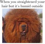 Those Bangs