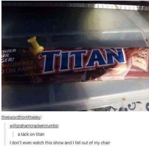 15 Pun Examples That Will Tickle Your Brain with a Feather 13 Titsn - Pun Examples
