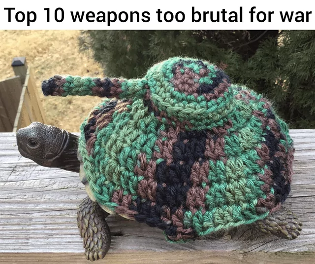 34 Turtle Memes to Shell-ter You from Boredom on World Turtle Day 21 Top weapon brutal for war - turtle memes