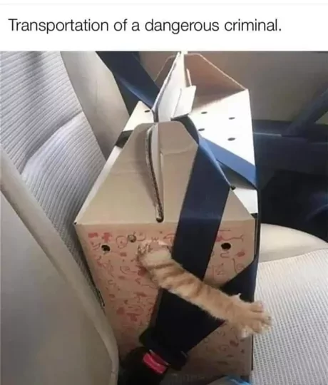 Transportation Of A Dangerous Criminal 1 Transportation Of A Dangerous Criminal