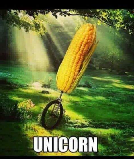 15 Pun Examples That Will Tickle Your Brain with a Feather 14 Unicorn - Pun Examples