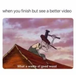 Waste of good wood meme