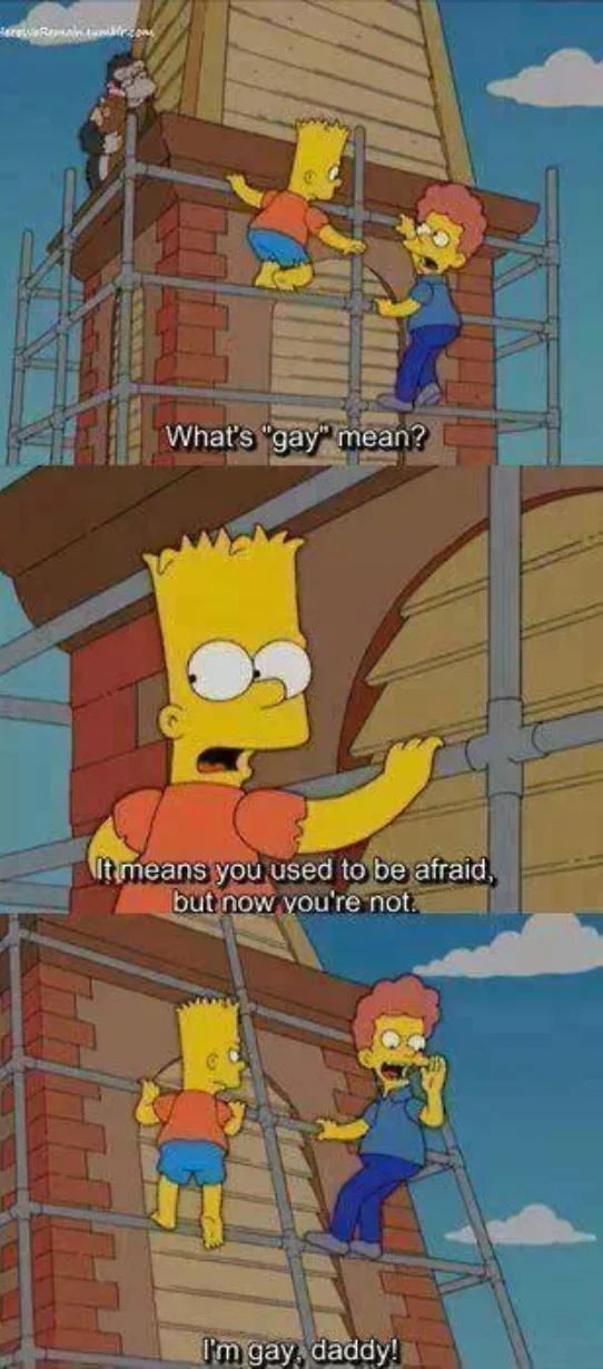 30 Simpsons Jokes to Make Your Inner Bart Giggle 26 What gay means - Simpsons Jokes