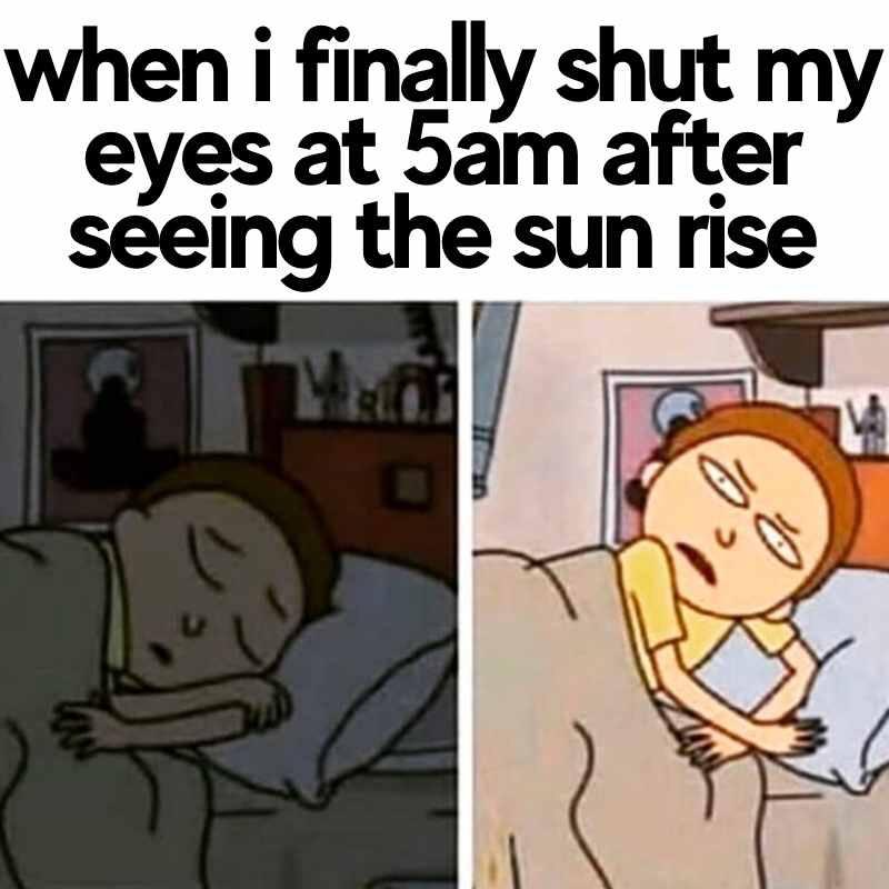 25 Insomnia Memes That Every Insomniac Can Relate To 19 When I finally shut my eyes at 5am - Insomnia Memes