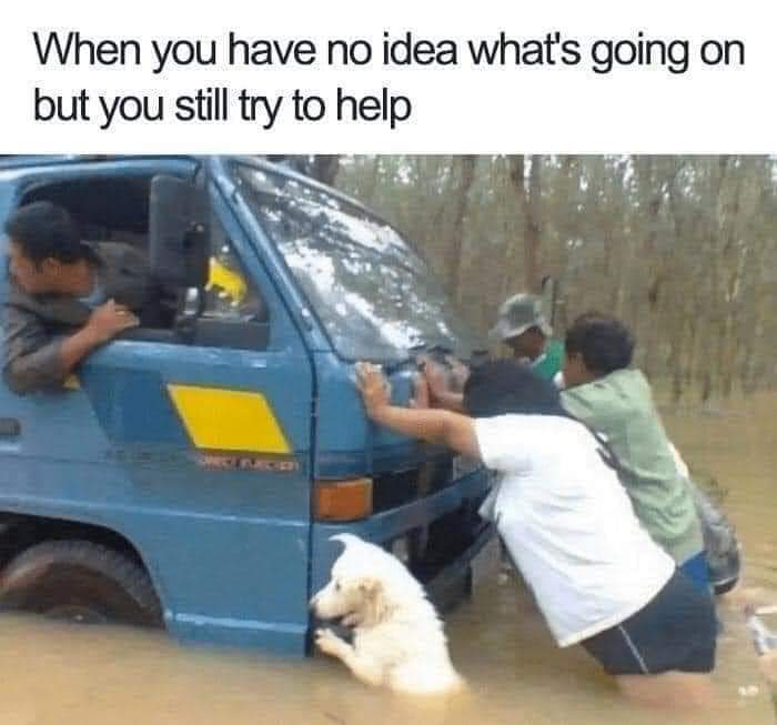 When Just Wanna Help 1 helping meme