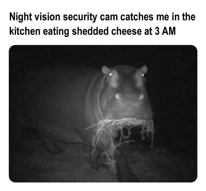 When The Night Vision Cam Catches You 1 When The Night Vision Cam Catches You