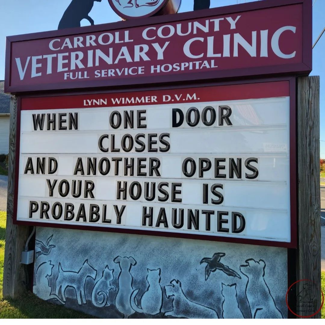50 Funniest Roadside Signs from This Vet Clinic's Instagram: A Prescription for Smiles 36 When one door closes another one opens - Vet Clinic
