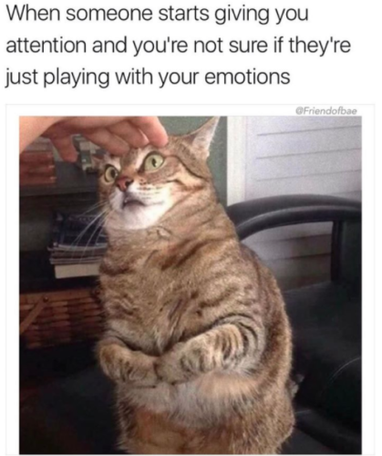 Scrolling Delights: 20 Memes for a Short Browsing Entertainment 10 When someone starts giving you attention Scrolling Delights