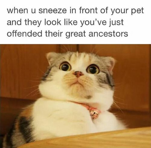 Scrolling Delights: 20 Memes for a Short Browsing Entertainment 12 When you open the sauce jar Scrolling Delights