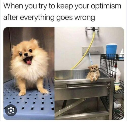 Scrolling Delights: 20 Memes for a Short Browsing Entertainment 13 When you try to keep your optism Scrolling Delights