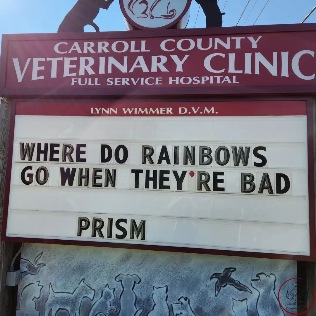 50 Funniest Roadside Signs from This Vet Clinic's Instagram: A Prescription for Smiles 37 Where do rainbows go when theyre bad - Vet Clinic
