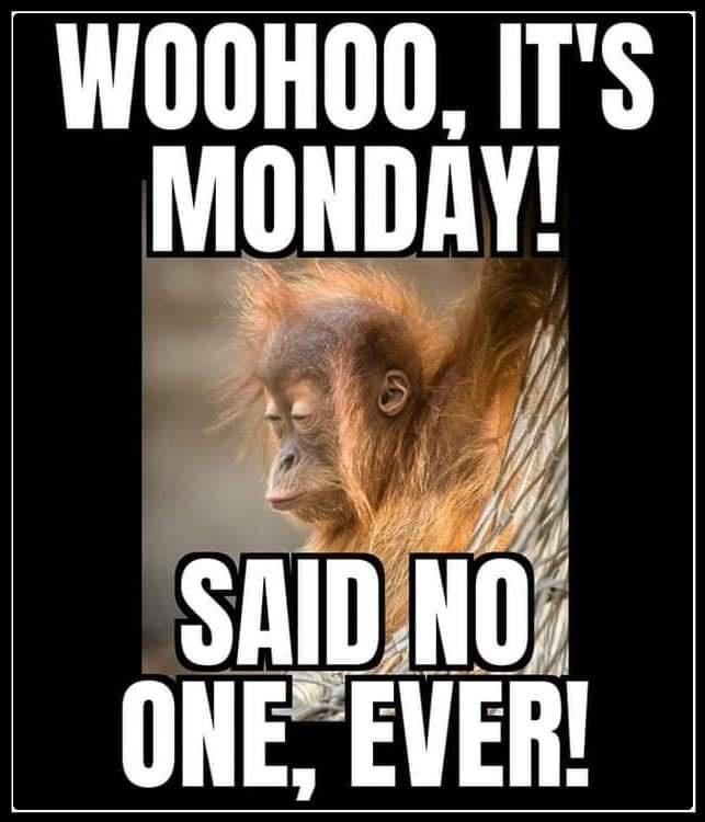 20 Monday Humor Memes for Hardcore Monday Haters 10 Whoohoo its monday - Monday Humor