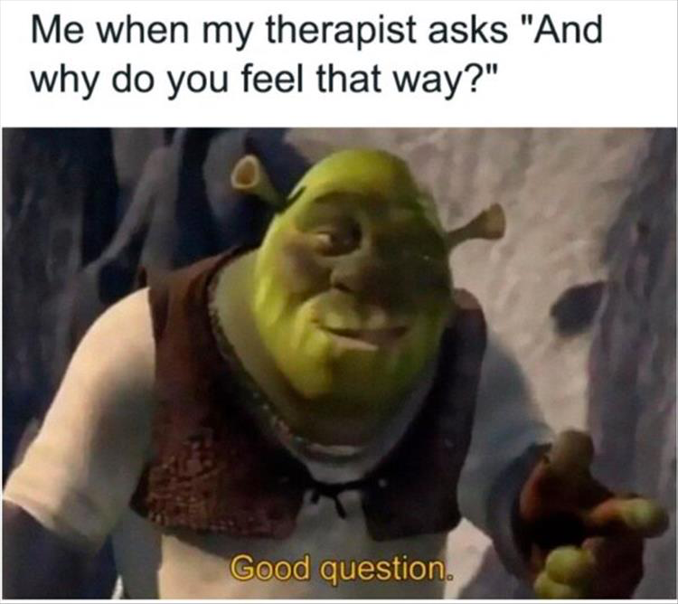 20 Hilarious Gems That Prove Laughter is Contagious! 15 Why do you feel that way - Hilarious Gems