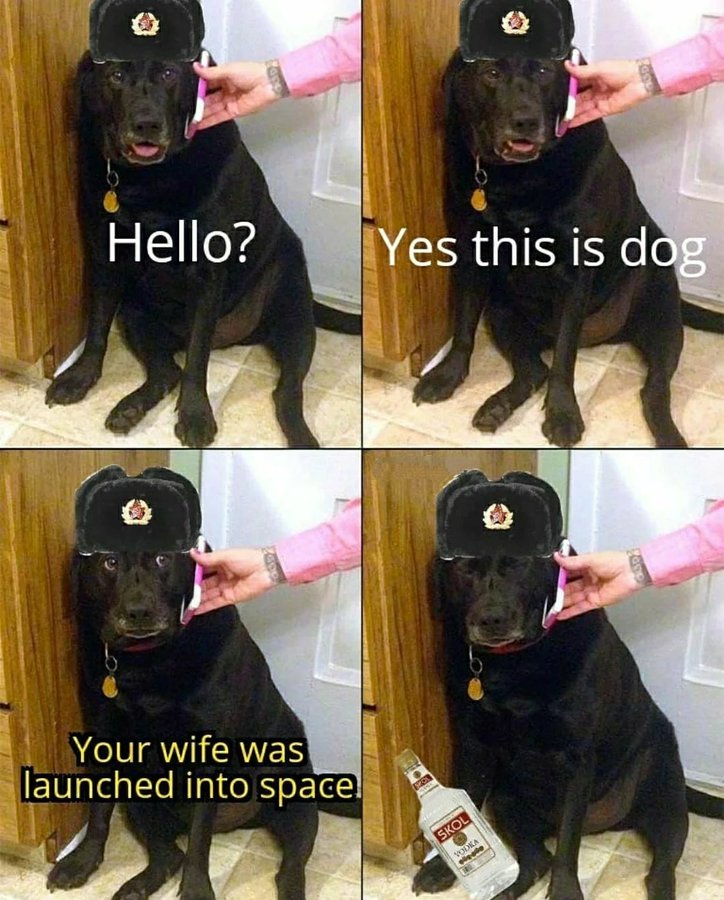 35 History Memes That Transform History into Hilarity 24 Yes this is dog - History Memes