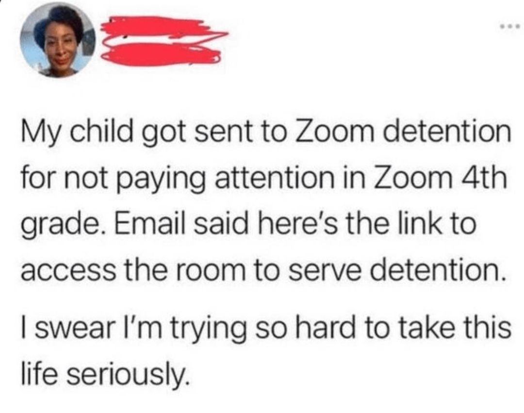 Dumb Tweets That Defy Logic: 35 Gems from Twitter, Courtesy of 'reallydumbtweets' 30 Zoom Detention - Dumb Tweets
