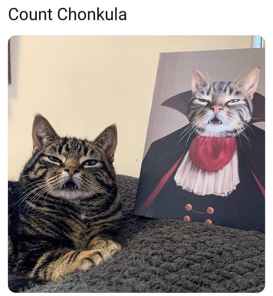 count chonkula - Viral Memes