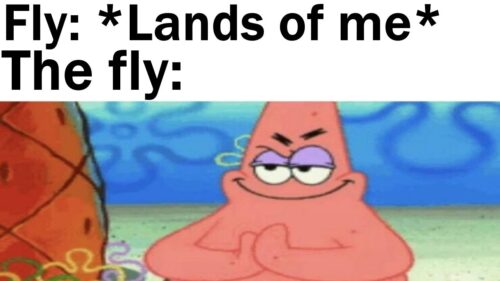 Scrolling Delights: 20 Memes for a Short Browsing Entertainment 4 Elmo looks in disbelief Scrolling Delights