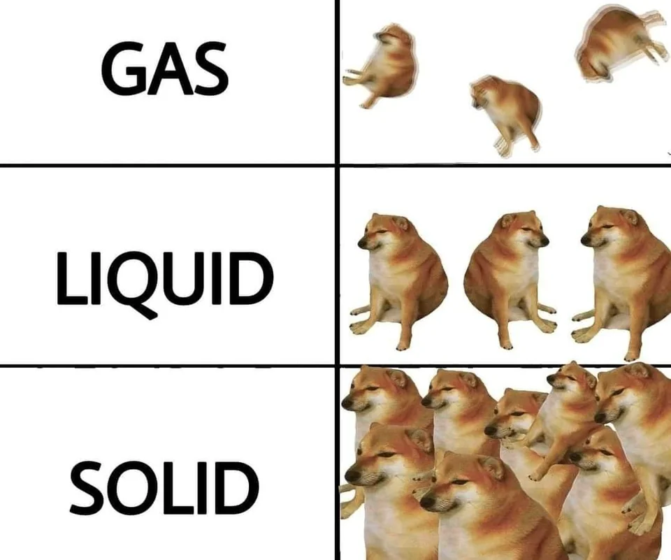 20 Cheems Memes That Made Us Smile: A Tribute to the Wholesome Dog Behind the Laughter 6 gas liquid solid - Cheemes Memes