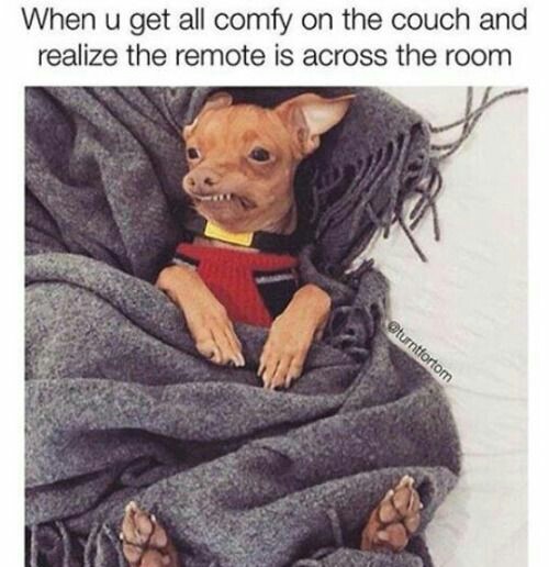 20 Memes That Deserve a Spot in Hall of Fame 14 get all comfy