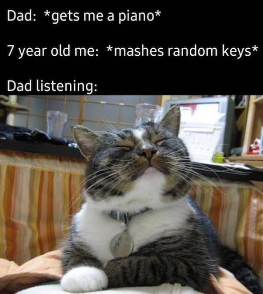Scrolling Delights: 20 Memes for a Short Browsing Entertainment 16 gets me a piano