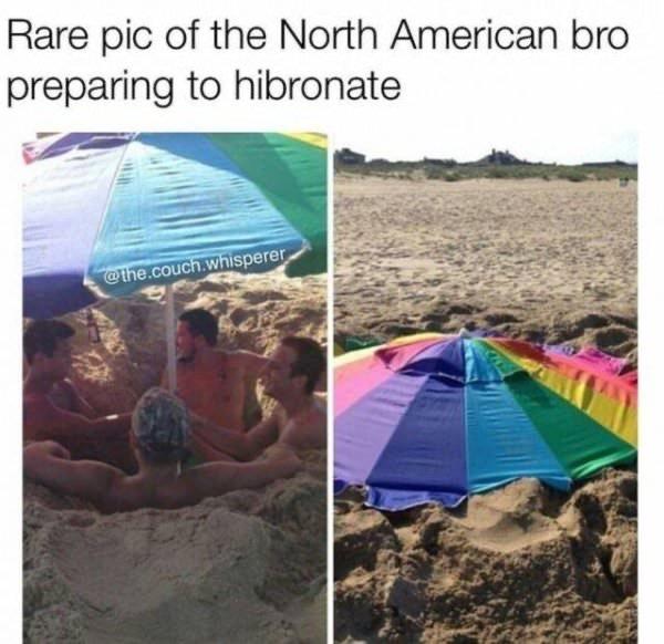 20 Outrageously Funny Memes for a Good Time 5 hibronate - Outrageously Funny Memes