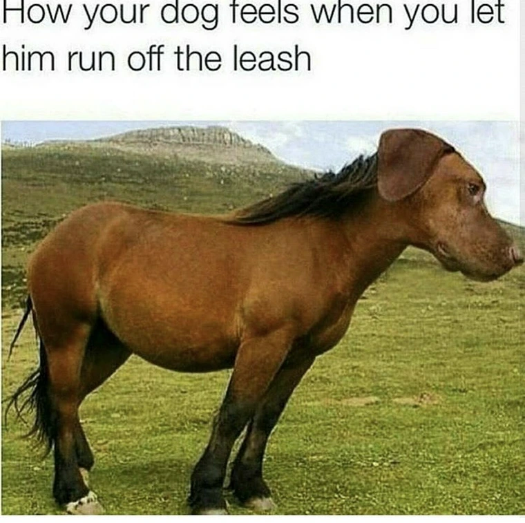 20 Memes That Deserve a Spot in Hall of Fame 15 how do feels