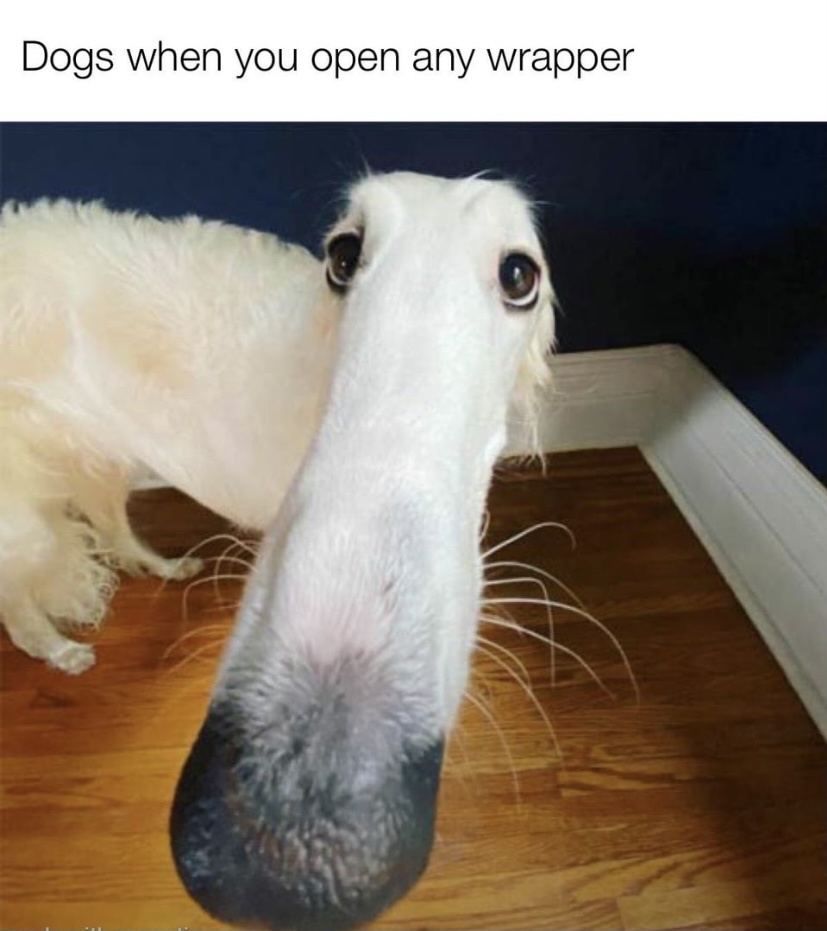 20 Outrageously Funny Memes for a Good Time 19 opne wraper