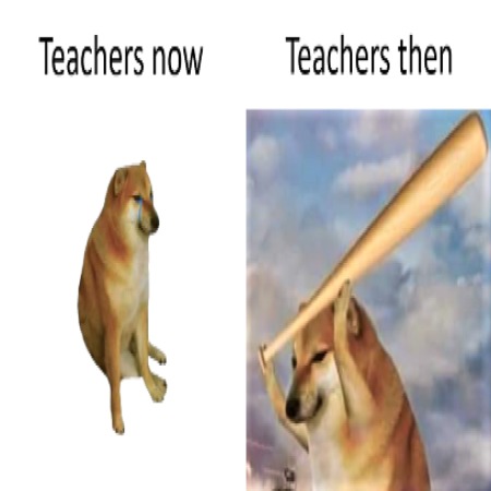 20 Cheems Memes That Made Us Smile: A Tribute to the Wholesome Dog Behind the Laughter 16 techers now vs teachers then - Cheemes Memes