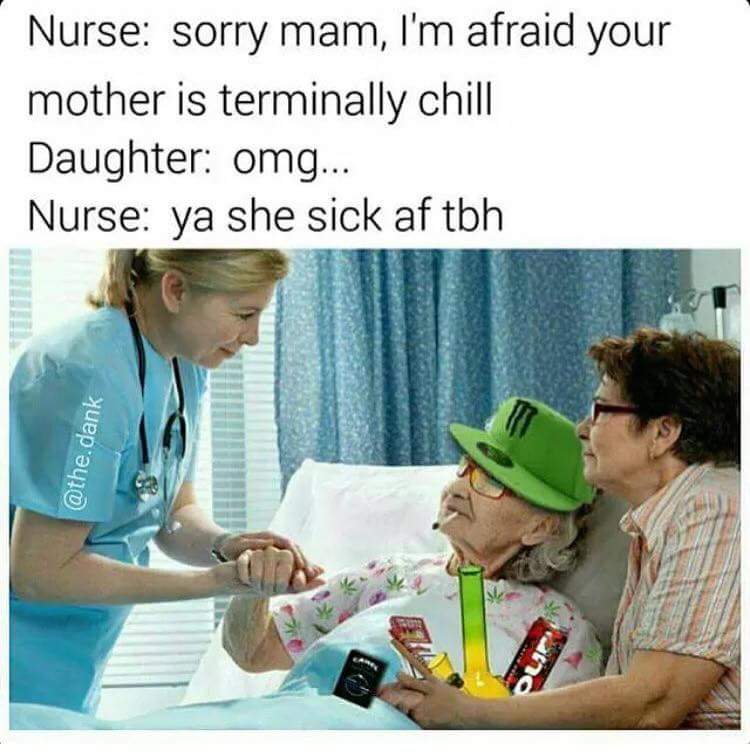 20 Memes That Deserve a Spot in Hall of Fame 17 terminally chill