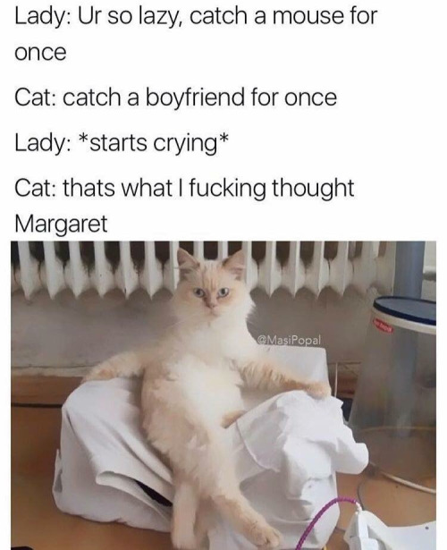 20 Memes That Deserve a Spot in Hall of Fame 19 ur so lazy