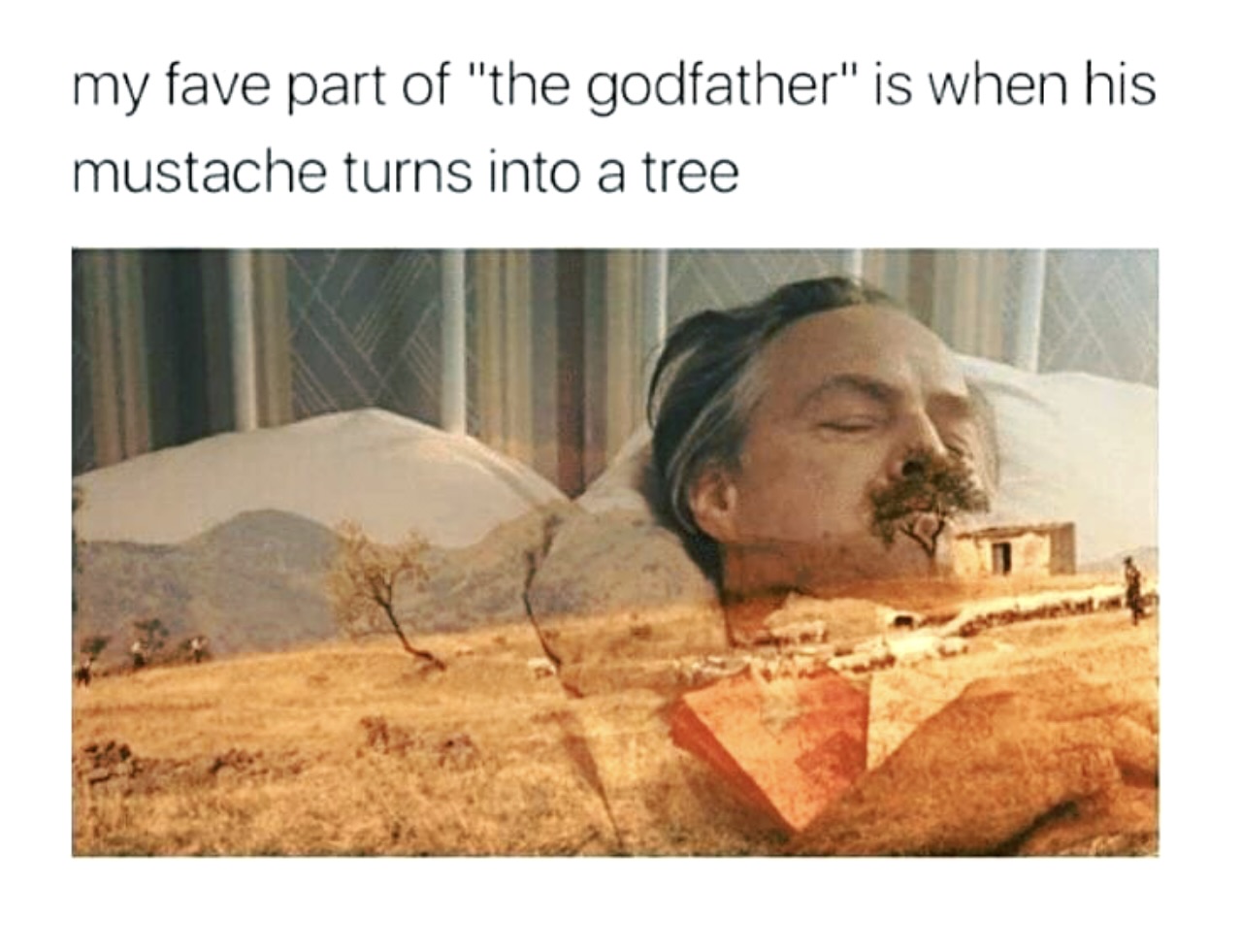 23 Unpredictable and Gut-Busting Gags - FG